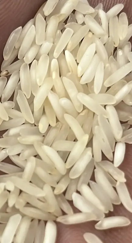 PREMIUM DAILY USE RICE
