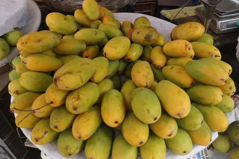 AAM CHAUSA