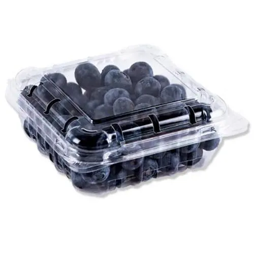 BLUEBERRY 12 BOX