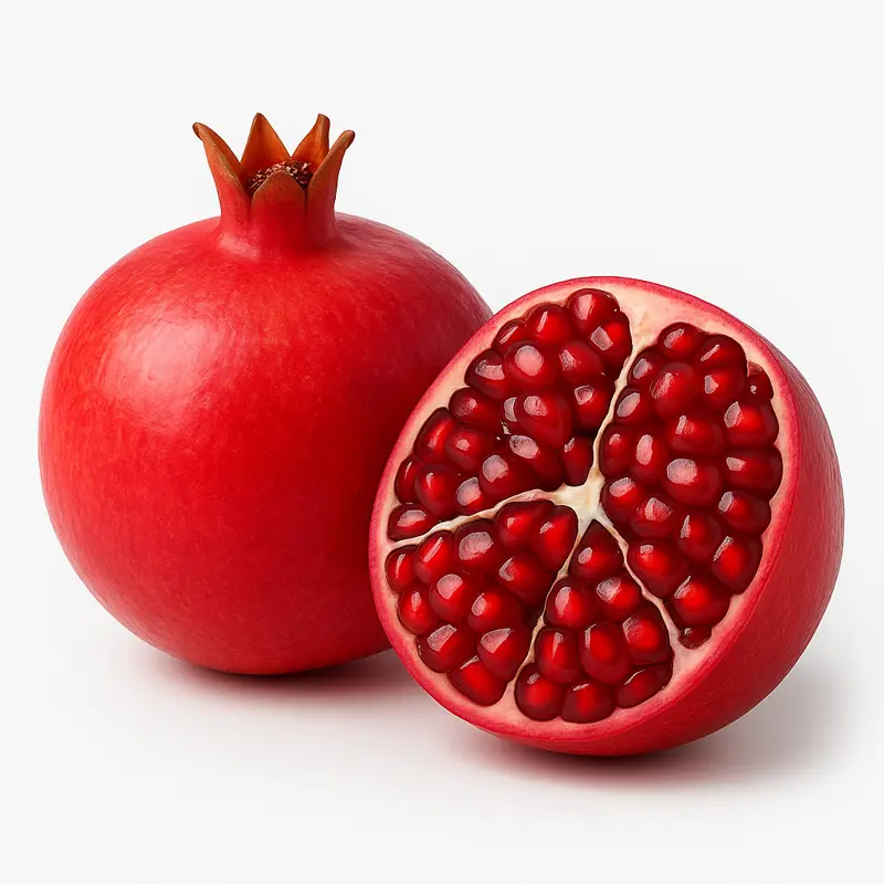 ANAR MOTA