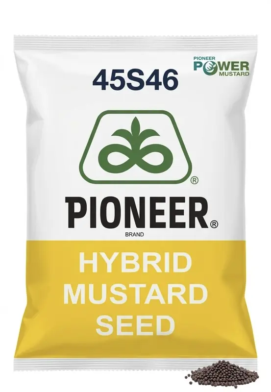 PIONEER 45S46 HYBRID MUSTARD SEED