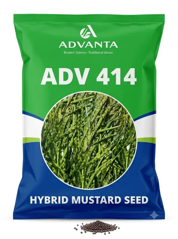 ADVANTA ADV 414 HYBRID MUSTARD SEED