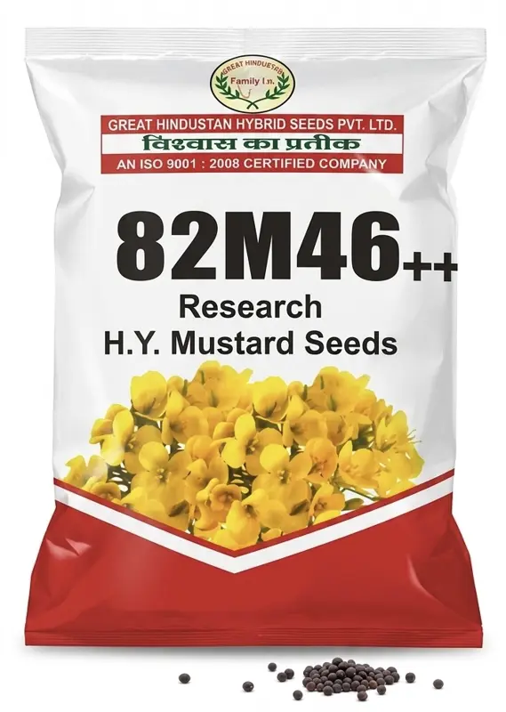 82M46++ RESEARCH H.Y. MUSTARD SEEDS