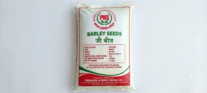 BARLEY SEED BH-393
