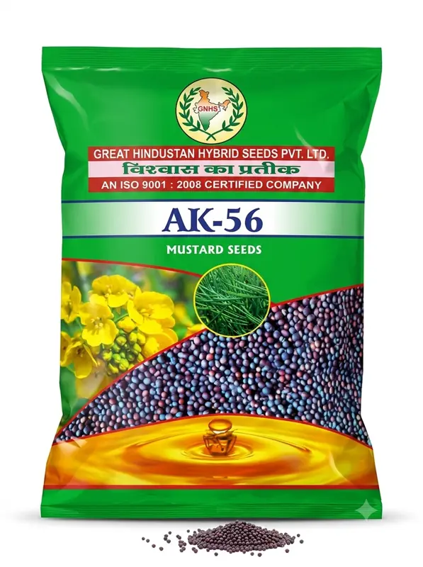 AK-56 MUSTARD SEEDS