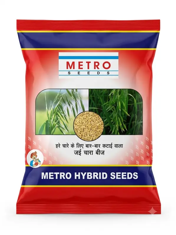 METRO HYBRID OAT FODDER SEEDS
