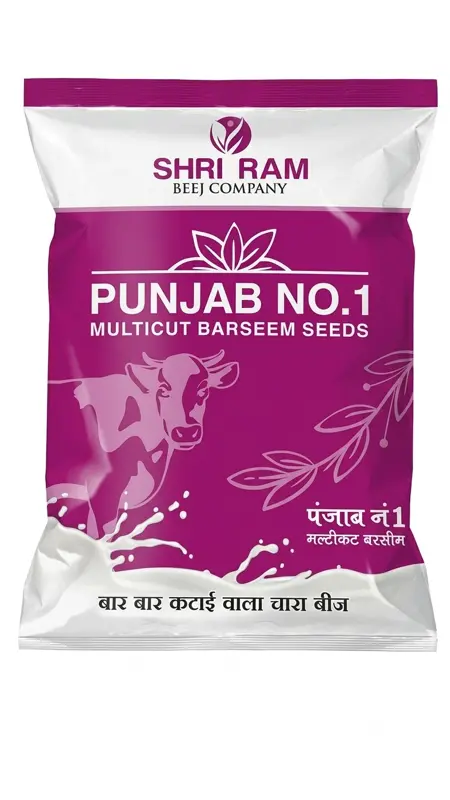 PUNJAB NO. 1 MULTICUT BARSEEM SEEDS