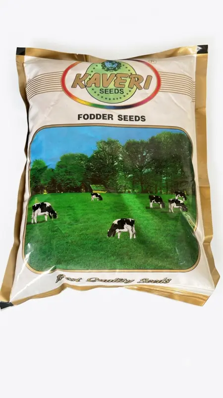 KAVERI SEEDS – FODDER SEEDS