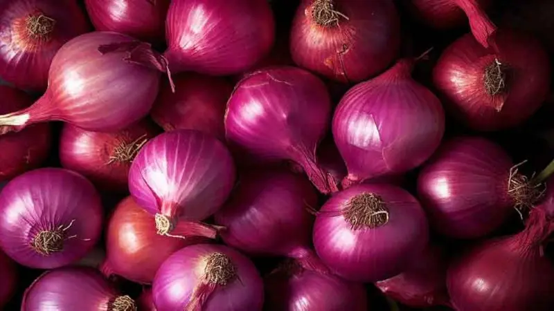 PYAJ (SIKAR)- 1 KG