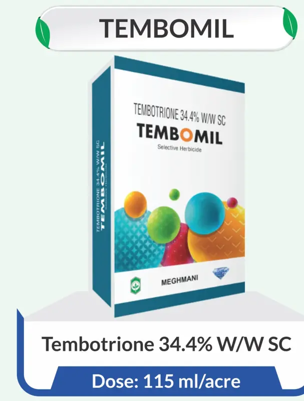TEMBOMIL