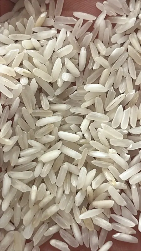 RICE DAILY USE