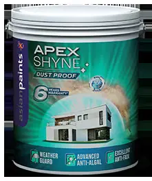 APEX SHYNE
