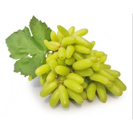 Grapes