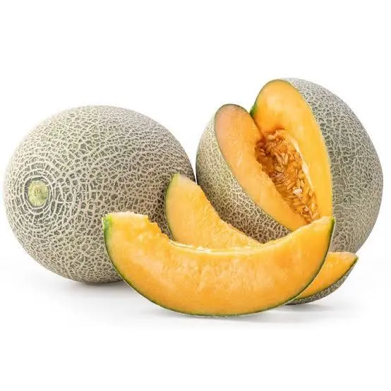 Muskmelon(kharbuja)