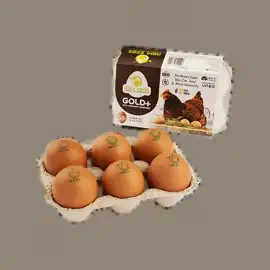Abhi Gold+ Brown Eggs