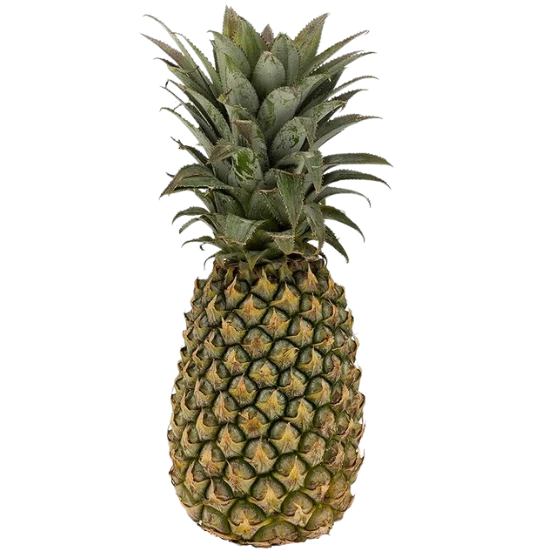 PINEAPPLE