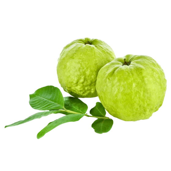 GUAVA