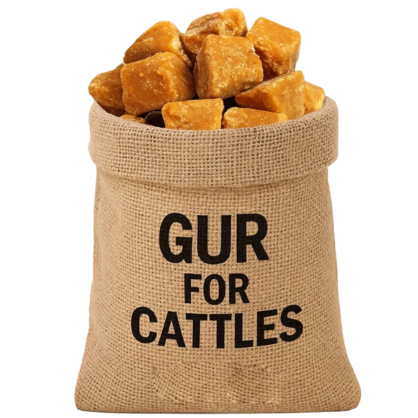 GUR FOR CATTLE