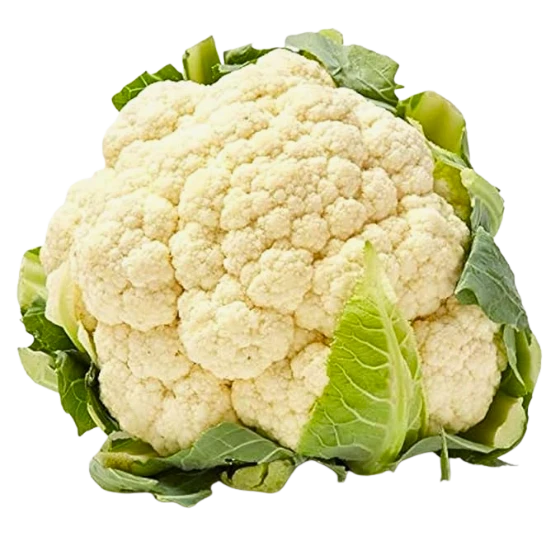 GOBHI