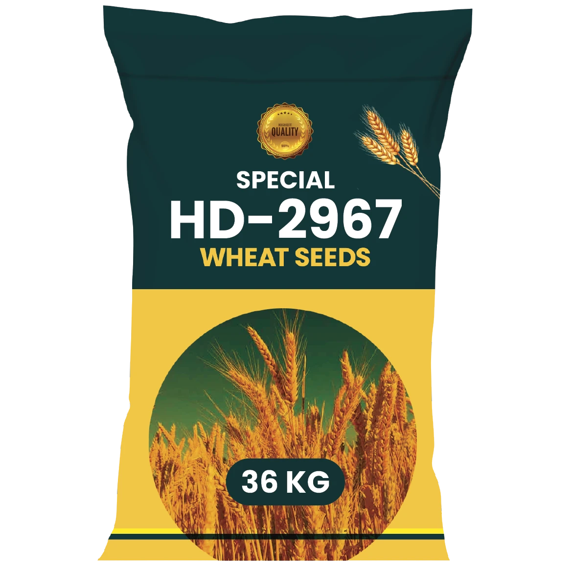 WHEAT SEEDS VARIETY-HD-2967( TREATED SEED)