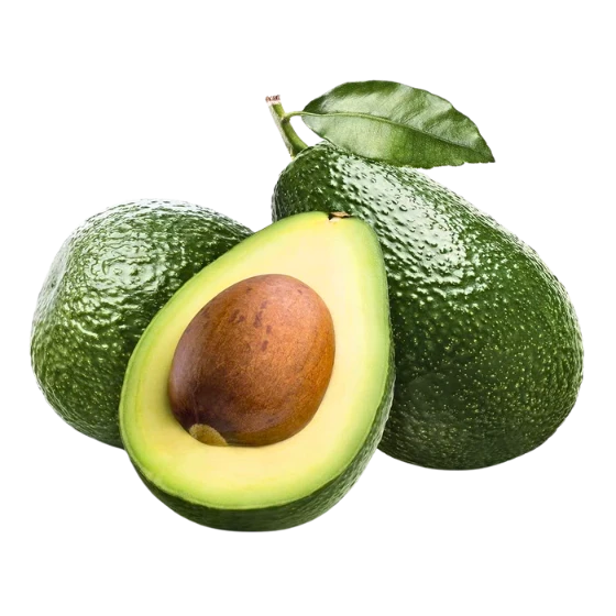 AVOCADO PETI BEST QUALITY