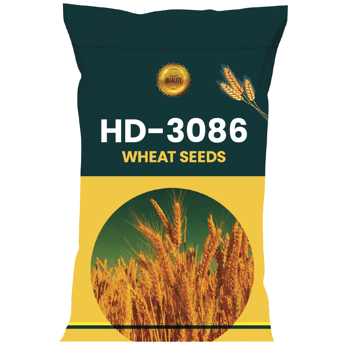 WHEAT SEEDS VARIETY HD-3086