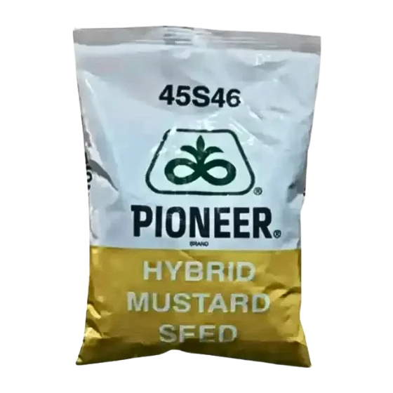 PIONEER VARIETY-45S46 F1 HYBRID MUSTARD SEED