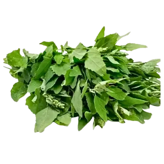 BATHUA