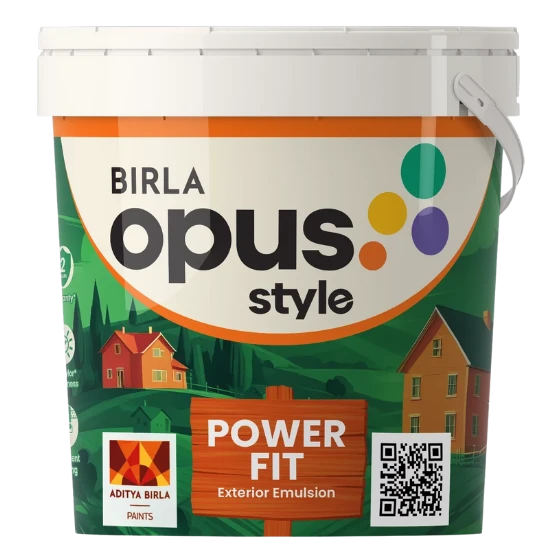 PAINT STYLE POWER FIT 1L