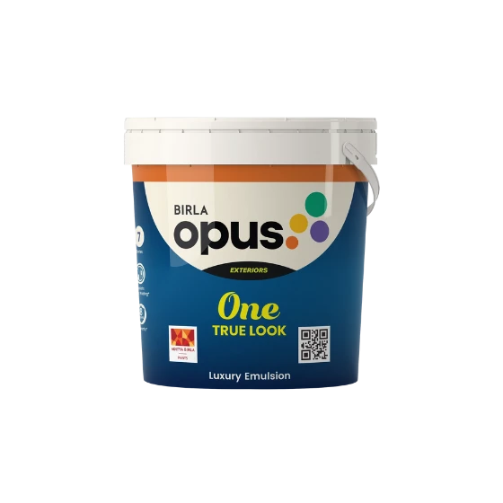 ONE TRUE LOOK PAINT 10L