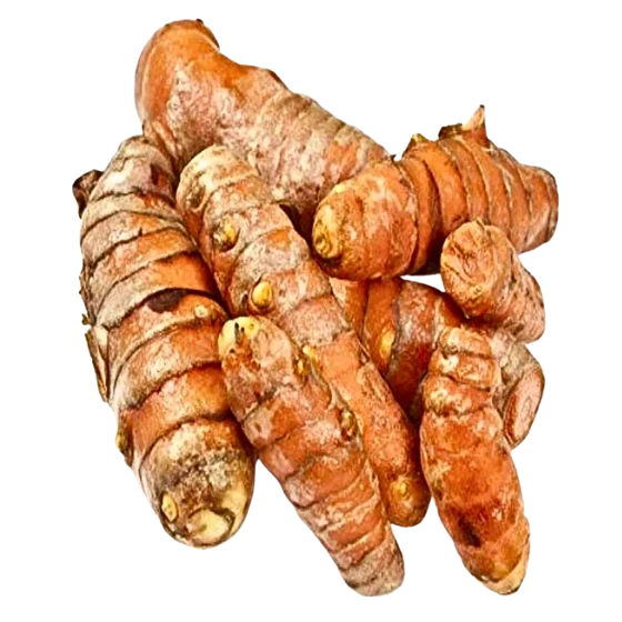 FRESH HALDI