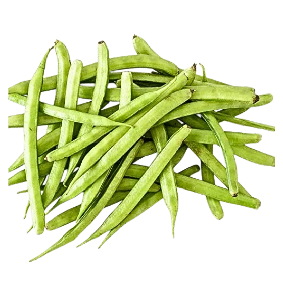 GUAR FALLI