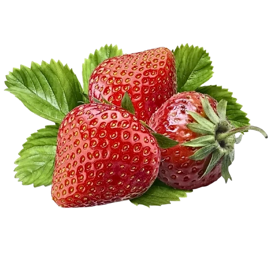 Fresh Organic Strawberry