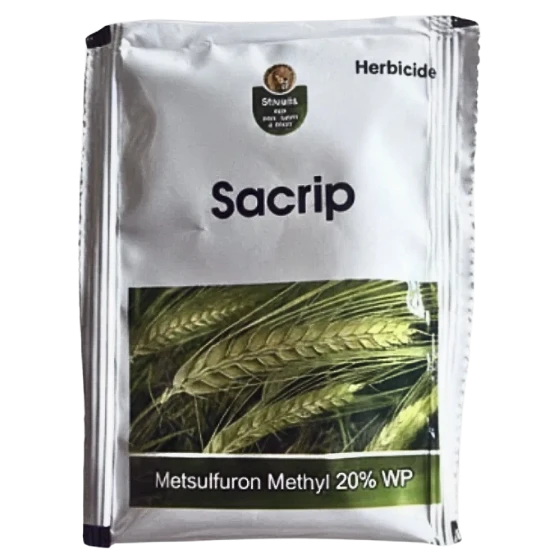 SACRIP
