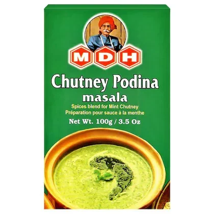 MDH PODINA CHUTNEY POWDER- 100g