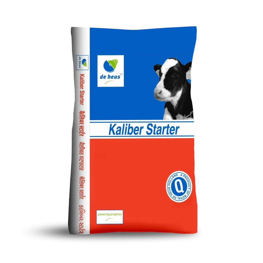 DE HEUS KALIBER STARTER 25 kg