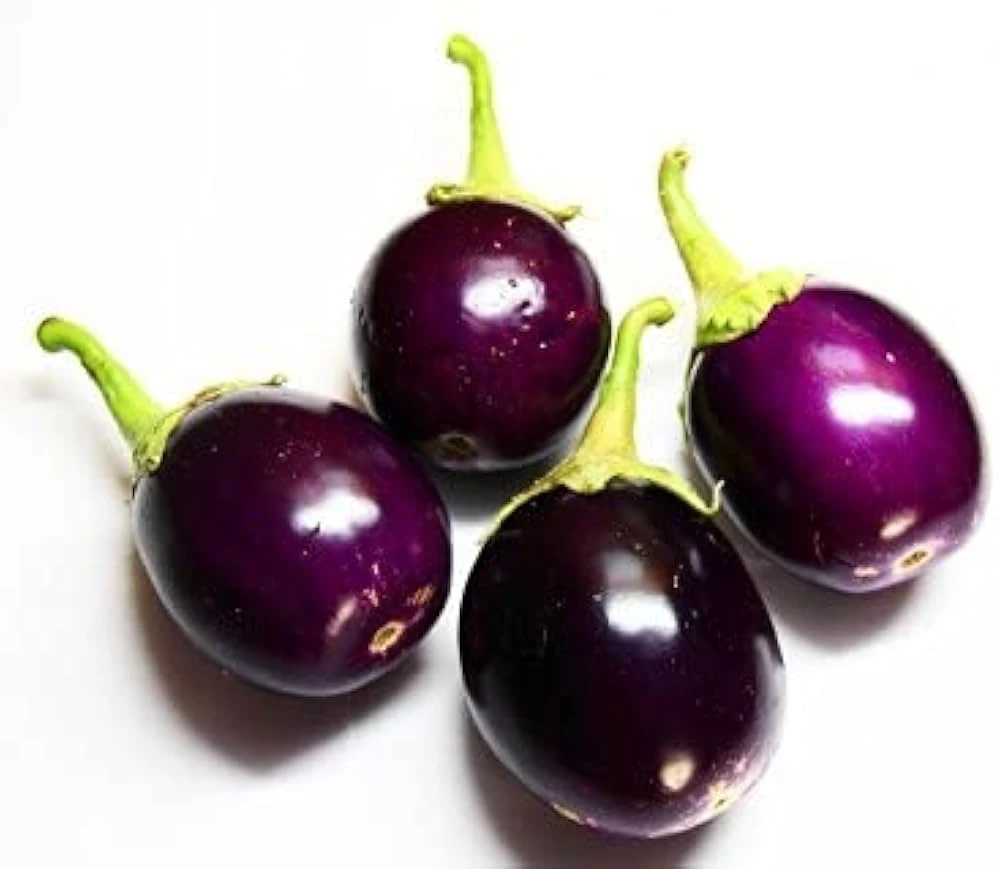 CHU-CHU BAINGAN