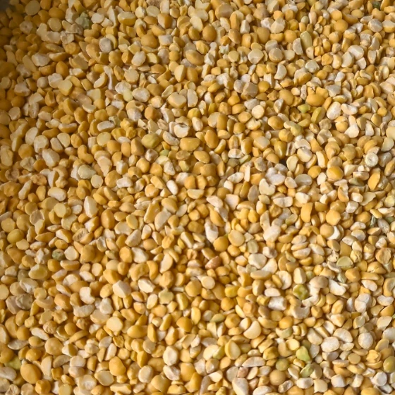 CATTLE FEED CHANA DAL