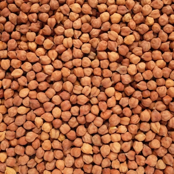 CHANA